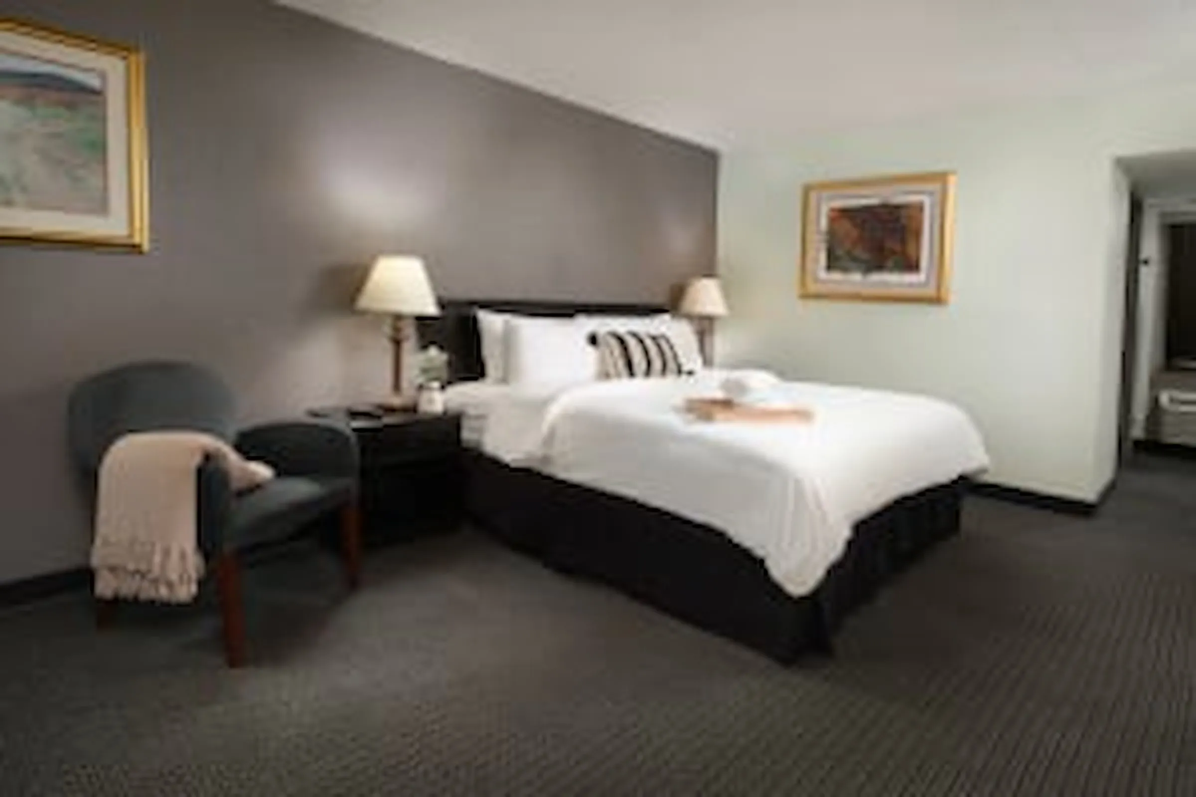 Basic King: One king bed