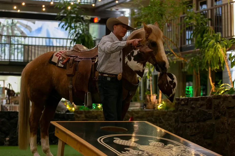 A cowboy and his horse beside the atrium cornhole boards